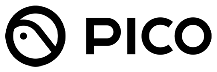 PICO Avatar